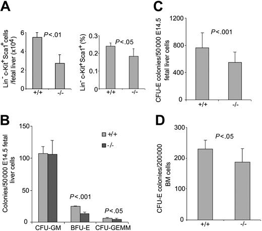 Figure 2. Effects of Cdc42GAP deletion on phenotypic HSP number and erythropoietic progenitor activities. (A) WT or homozygous E14.5 fetal liver (n = 20 for each group) cells were stained with lineage-FITC, Sca1-PE, and c-Kit-APC and were examined by flow cytometry for HSP number and percentage composition. (B-D) E14.5 fetal liver (n = 20 for each group) cells (B-C) or 3-day-old pup (n = 5 for each group)-derived bone marrow cells (D) were cultured in methylcellulose medium supplemented with 100 ng/mL SCF, 100 ng/mL IL-3, 4 U/mL EPO, and 100 ng/mL G-CSF for 7 days for the development of CFU-GM, BFU-E, or CFU-GEMM colonies (B) or with 100 ng/mL SCF and 4 U/mL EPO for 2 days for the growth of CFU-E colonies (C-D).