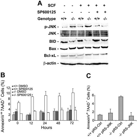 Figure 5. Cdc42GAP deletion leads to JNK activation and increased apoptosis of HSPs. HSPs were cultured in the presence or absence of 10 μM JNK inhibitor SP600125 and were starved for 6 hours. Cells were stimulated with 100 ng/mL SCF for 10 minutes before they were subjected to Western blot analysis (A) or were analyzed for apoptosis by annexin-V- and 7-AAD-based FACS at different time points (B). (C) JNK siRNA-expressing retrovirus or the control retrovirus-treated HSPs were selected with puromycin (2 μg/mL) for 2 days to enrich the transduced cell population before they were subjected to apoptosis analysis.