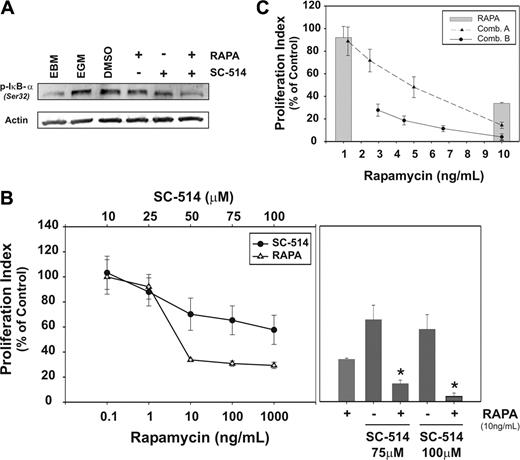 Figure 6. NF-κB inhibitor SC-514 potentiates rapamycin effect on BM-EC proliferation. (A) Semiconfluent BM-ECs were cultured for 12 hours in EBM2 and pretreated for 1 hour with rapamycin (10 ng/mL), SC514 (100 μM), or DMSO (vehicle control). Cells were then stimulated for 15 minutes with cytokine media/EGM2, lysed, and analyzed for activation of NF-κB pathway inhibitory protein IκB-α by Western blot. Data are representative of 4 BM-EC donors tested. (B) BM-ECs were cultured in cytokine media/EGM2 in the presence of rapamycin or SC514 (tested at indicated doses; left panel). Proliferation was measured using an MTS assay, and data are presented as proliferation index in percentage of control condition. At optimal inhibitory doses for both agents, combination of SC-514 (75 μM or 100 μM) and rapamycin (10 ng/mL) was tested (right panel; *significance level of P < .02 and P < .01, respectively). (C) Two constant ratio combinations of rapamycin and SC-514 were tested, with 2-fold (combination A) or 1.5-fold (combination B) dilutions from the highest dose combination (see rows marked with an asterisk in Table 1). Dose-effect analysis was performed using CalcuSyn software, with the combination index (CI) determined by the Chou-Talalay method. Data in panels B and C show a representative case from 4 independent experiments using BM-ECs from 3 to 6 donors. Error bars represent SEM.