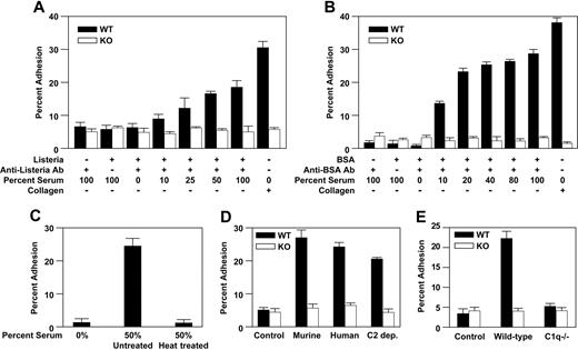 Figure 1. α2β1 Integrin–dependent adhesion to immune complexes. (A) PMCs (2000 cells/well) isolated from wild-type (WT) and α2-null (KO) mice were assayed for adhesion to a matrix consisting of Listeria alone, Listeria plus anti-Listeria antibody, Listeria, anti-Listeria antibody and 100% mouse serum, BSA alone, BSA plus anti-BSA antibody, BSA plus anti-BSA antibody and 100% mouse serum, type 1 collagen, or fibronectin for 1 hour. (B) PMCs isolated from WT and KO mice were assayed for adhesion to a matrix consisting of Listeria, anti-Listeria antibody, and increasing concentrations of mouse serum. (C) PMCs from WT mice were assayed for adhesion to a matrix consisting of BSA and anti-BSA antibody alone, with no mouse serum (0%), or BSA and anti-BSA antibody plus 50% mouse serum either untreated (Untreated) or heat treated at 56°C for 30 minutes (Heat treated). (D, E) PMCs from WT and KO mice were assayed for adhesion to a matrix consisting of Listeria and anti-Listeria antibody alone (Control), or Listeria, anti-Listeria antibody and 50% murine serum, 50% human serum, 50% human serum depleted of C2 complement component (C2-dep), or 50% serum from C1q-deficient (C1q-/-) mice, or to type 1 collagen or fibronectin. All experiments were carried out in the presence of 2 mM MgCl2. All results are presented as mean ± SEM from triplicate wells of a single experiment and represent 1 of at least 3 experiments demonstrating similar results.