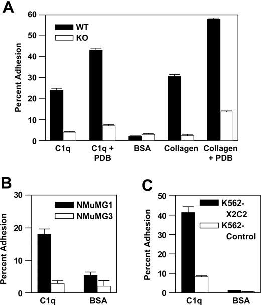 Figure 2. α2β1 Integrin–dependent adhesion to C1q. (A) PMCs from WT and KO mice either were untreated or were stimulated with PDB (40 nM) and assayed for adhesion to C1q, type 1 collagen, fibronectin, or BSA, as indicated. (B, C) Adhesion of NMuMG-1 cells that express endogenous murine α2β1 integrin (NMuMG-1), α2β1 integrin-negative NMuMG-3 cells (NMuMG-3), α2β1 integrin-negative K562 cells transfected with either control vector (K562-Control) or human full-length α2β1 integrin cDNA(K562-X2C2) to C1q, type 1 collagen, fibronectin, or BSA was analyzed. All experiments were carried out in the presence of 2 mM MgCl2. All results are presented as mean ± SEM from triplicate wells of a single experiment, and represent 1 of at least 3 experiments demonstrating similar results.