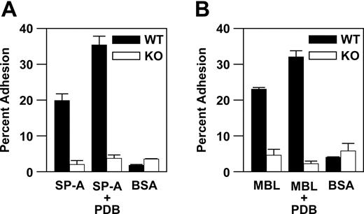 Figure 4. Adhesion to SP-A and MBL is α2β1 integrin-dependent. (A-B) Adhesion of WT and KO PMCs, either untreated or stimulated with PDB (40 nM), to SP-A, MBL, or BSA, as indicated, in the presence of 2 mM MgCl2. All results are presented as mean ± SEM from triplicate wells of a single experiment and represent 1 of at least 3 experiments demonstrating similar results.