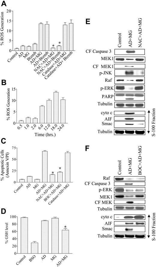 Figure 3. Combined treatment of leukemia cells with adaphostin and MG-132 or bortezomib leads to an increase in ROS generation and lethality, events that are attenuated by the free-radical scavenger NAC. (A) Jurkat cells preteated with or without 6 mM NAC for 3 hours or 1000 U/mL catalase for 1 hour were exposed to 400 nM adaphostin plus or minus 200 nM MG-132 or 4.0 nM bortezomib (Btzmb), and ROS generation was monitored by flow cytometry using DHCF as the dye following 18 hours of drug exposure. (B) Jurkat cells were treated with 400 nM adaphostin plus or minus 200 nM MG-132, after which levels of ROS generation were measured at the indicated interval (eg, 0.5 to 24 hours). (C) Jurkat cells preteated with or without 6 mM NAC for 3 hours or 10 μM Boc-fmk for 30 minutes or 1000 U/mL catalase for 1 hour were exposed to 400 nM adaphostin plus or minus 200 nM MG-132 for 24 hours, after which apoptotic cells were monitored by annexin V/PI staining and flow cytometry as described previously. (D) Jurkat cells were treated with 400 nM adaphostin plus or minus 200 nM MG-132 for 16 hours or with 1 mM BSO for 24 hours. Then cells were harvested and homogenized. The samples were then deproteinated, and GSH level was determined as described in “Materials and methods.” Jurkat cells were (E) pretreated with or without 6 mM NAC for 3 hours or (F) pretreated with or without 10 μM Boc-fmk for 30 minutes followed by exposure to 400 nM adaphostin plus or minus 200 nM MG-132 for 8 hours. Following drug treatment, cytosolic (S-100) fractions and whole-cell lysates were obtained as described in “Materials and methods.” Protein samples were subjected to Western blot analysis using the indicated primary antibodies. Blots were stripped and reprobed with antitubulin antibodies to ensure equal loading and transfer of protein. *Significantly less than values for cells exposed to drugs in the absence of NAC or Boc-fmk; P < .005.