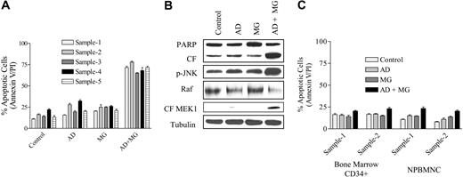 Figure 6. Combined treatment with adaphostin and MG-132 markedly induces death in primary AML cells while exhibiting little toxicity toward normal hematopoietic cells. (A) Primary human AML blasts (FAB M2 subtype in 4 samples; M5 in 1 sample) were suspended in medium containing 10% FCS at a cell density of 0.8 × 106/mL in the presence of 750 nM adaphostin plus or minus 300 nM MG-132 for 24 hours. At the end of drug exposure, apoptotic cells were monitored by annexin V/PI staining. Cell death for control blasts was generally less than 15% to 25%. (B) Primary AML blasts (sample 2) were exposed to drugs alone and in combination as in panel A for 18 hours, after which cell lysates were obtained and Western blot analysis performed to monitor PARP and MEK1 cleavage and levels of phospho-JNK and Raf-1. Each lane was loaded with 30 μg protein, and blots were stripped and reprobed with antitubulin antibodies to ensure equal loading and transfer of protein. (C) CD34+ cells obtained from the bone marrow of a patient undergoing a routine diagnostic procedure for a nonmyeloid hematologic disorder (eg, thrombocytopenia) were isolated by an immunomagnetic bead separation technique as described in “Materials and methods” and exposed to adaphostin (1.0 μM) ± MG-132 (300 nM) for 24 hours. At the end of this period, the percentage of apoptotic cells was determined by annexin V/PI staining and flow cytometry. A parallel experiment was also performed with normal peripheral-blood mononuclear cells (NPBMNC) from a healthy donor. Values represent the means plus or minus SD for triplicate determinations.