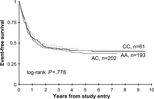 Figure 2. EFS from study entry: XPD 751AA versus AC versus CC genotypes.