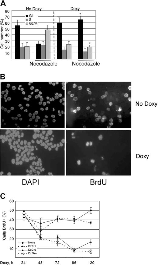 Figure 1. KSHV vGPCR expression results in cell-cycle arrest with decrease in proportion of cells in S phase. (A) BC3.14 cells were exposed to 2 μg/mL doxycycline where indicated for 48 hours to induce vGPCR expression. Cells were then stained with propidium iodide and analyzed by FCM. The percentage of cells in each cell phase is shown. Average of 2 independent experiments is shown. *P ≤ .05 compared with corresponding point in “No Doxy” panel. (B) BC3.14 cells were exposed to doxycycline where indicated for 48 hours and then fixed to glass slide by cytocentrifugation. Cells were incubated with BrdU for 6 hours followed by FITC-conjugated anti-BrdU. (C) BC3.14 cells were exposed to doses of doxycycline as shown for up to 120 hours. BrdU staining was performed at each time point. Cells were manually counted, and the average of 3 experiments is shown. Error bars indicate SD.