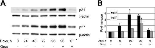 Figure 2. KSHV vGPCR causes increase in p21 and p27. (A) BC3.14 cells were exposed to 2 μg/mL doxycycline for length of time shown in hours. Western blot shows vGPCR-dependent increases in p21 and p27 over 96 hours. Shown is 1 of 3 independent experiments. (B) Quantitative RT-PCR shows vGPCR-dependent transcriptional regulation of p21 and to a lesser extent, p27. Groα (100 nm), a vGPCR agonist, is included to assure specificity of observed effects. Average of 2 independent experiments each done in duplicate is shown. Error bars indicate SD. *Significant increase over baseline, P ≤ .05.