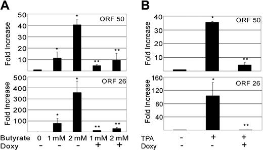 Figure 5. KSHV vGPCR expression inhibits lytic gene induction by TPA and butyrate. BC3.14 cells were treated for 48 hours with 2 μg/mL doxycycline where indicated to express vGPCR, after which cells were also exposed to butyrate (1 mM or 2 mM) (A) or TPA (20 ng/mL) (B) to induce KSHV lytic gene transcription. q RT-PCR was performed for ORF 50 and ORF 26 message. Results are normalized to untreated cells (lane 1). Shown in both panels are 2 independent experiments each done in duplicate. Error bars indicate SD. *Significant increase over baseline, P ≤ .05; **Significant decrease from maximum induction, P ≤ .05.