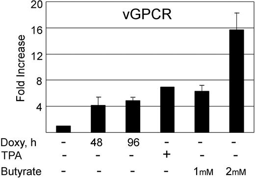 Figure 6. Doxycycline induction of KSHV vGPCR in BC3.14 cells results in increases in vGPCR message similar to levels obtained with lysis-inducing chemicals. BC3.14 cells were treated for 48 hours with TPA (20 ng/mL), butyrate (1 mM and 2 mM), or 2 μg/mL doxycycline (48 and 96 hours). Quantitative RT-PCR was then done using primers for KSHV vGPCR. Results were normalized to untreated cells in lane 1. Error bars indicate SD.