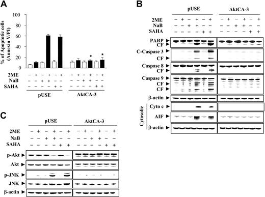 Figure 4. Induction of activated Akt markedly protect cells from apoptosis induced by coadministration of 2-ME and the HDACIs, NaB and SAHA. U937 cells were stably transfected with constitutively active forms of Akt (clone designated CA-3) or an empty vector (pUSE) as described in “Materials and methods.” Cells were then treated with 0.5 μM 2-ME in the presence or absence of NaB (1 mM) or SAHA (1.5 μM) for 24 hours. (A) After treatment, apoptosis was analyzed using annexin V-FITC/PI assay as described in “Materials and methods.” *Values for Akt-CA3 cells treated with 2-ME in the presence of NaB or SAHA were significantly decreased compared with those for pUSE cells (Student t test; P < .01). (B) After treatment, total cellular or cytosolic extracts were prepared and subjected to Western blot analysis using antibodies against PARP, caspase-8, caspase-9, cleaved caspase-3, AIF, and cytochrome c, respectively. (C) After treatment, total cellular extracts were prepared and subjected to Western blot analysis using antibodies against phosphor-Akt, Akt, phospho-JNK, and JNK. For Western blot analysis, each lane was loaded with 30 μg protein. Blots were subsequently stripped and reprobed with antibody against β-actin to ensure equivalent loading and transfer. Two additional studies yielded equivalent results.