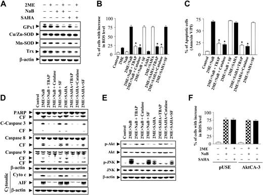 Figure 6. Effects of antioxidants on ROS generation, apoptosis, and cell-signaling proteins induced by coadministration of 2-ME and the HDACIs, NaB or SAHA. (A) U937 cells were exposed to 2-ME (0.5 μM) combined with either NaB (1 mM) or SAHA (1.5 μM) for 6 hours, after which total cellular extracts were prepared and subjected to Western blot analysis using antibodies against GPx1, Cu/Zn-SOD, MnSOD, and Trx. (B) U937 cells were pretreated with antioxidants including TBAP (200 μM), catalase (5000 U/mL), or sodium formate (SF, 2 mM) for 2 hours, followed by the addition of 2-ME (0.5 μM) in the presence or absence of NaB (1 mM) or SAHA (1.5 μM) for 6 hours. Cells were stained with DCFH-DA, after which ROS production was analyzed by flow cytometry as described in “Materials and methods.” (C) U937 cells were pretreated with antioxidants including TBAP (200 μM), catalase (5000 U/mL), or sodium formate (SF, 2 mM) for 2 hours, followed by the addition of 2-ME (0.5 μM) in the presence of NaB or SAHA for 24 hours, after which cells were stained with annexin V and PI and apoptosis was analyzed by flow cytometry as described in “Materials and methods.” *Values for cells treated with 2-ME and an antioxidant (TBAP or catalase) in the presence of NaB or SAHA are significantly less than those obtained for cells treated with 2-ME plus either NaB or SAHA in the absence of the antioxidant (Student t test; P < .01). U937 cells were pretreated with antioxidants including TBAP (200 μM), catalase (5000 U/mL), or sodium formate (SF, 2 mM) for 2 hours, followed by the addition of 2-ME (0.5 μM) in the presence of NaB or SAHA for 24 hours, after which total cellular or cytosolic extracts were prepared and subjected to Western blot analysis using antibodies against PARP, cleaved caspase-3, full-length caspase-8 and caspase-9, AIF, cytochrome c (D) or cell-signaling proteins including phospho-Akt, Akt, phospho-JNK, and JNK (E). (F) U937 cells were stably transfected with constitutively active forms of Akt (CA-3) or an empty vector (pUSE). Cells were treated with 0.5 μM 2-ME in the presence of NaB (1 mM) or SAHA (1.5 μM) for 6 hours, after which cells were stained with DCFH-DA, and ROS production was analyzed using flow cytometry as described in “Materials and methods.” For panels A, D, and E, each lane was loaded with 30 μg protein. Blots were subsequently stripped and reprobed with antibody against β-actin to ensure equivalent loading and transfer. Two additional studies yielded equivalent results. For panels B, C, and F, results represent the means ± SD for 3 separate experiments performed in triplicate.