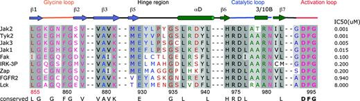 Figure 5. Amino acid sequence alignment of the ATP-binding site region of human JAK2 PTK domain with the other members of the JAK family TYK2, JAK3, and JAK1 and the kinase domain of FAK, IRK, ZAP-70, FGFR2, and LCK. The secondary structure of JAK2 is illustrated directly above the sequence alignment. Arrows delineate β-strands, and cylinders delineate α-helices. Dark gray boxes indicate conserved residues; light gray boxes, conservatively substituted residues. Residues highlighted in blue are located in the adenine-binding region; in green, in the sugar pocket; and in pink, in the phosphate-binding region. Residues accessible to solvent are colored in brown and buried residues are colored in purple. IC50s of CMP6 for each kinase are indicated on the right.