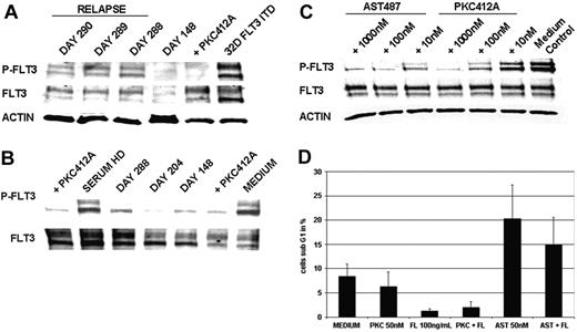 Figure 2. Analysis of sensitivity to PKC412 in primary AML blasts obtained from patient UPN1. (A) In vivo tyrosine phosphorylation status of FLT3. MNCs were isolated from patient UPN1 at the time of remission (day 148) and at the time of recurrence of PB blasts (days 288, 289, 290). Whole cell lysates were prepared and were analyzed by Western blotting. Constitutive tyrosine phosphorylation of FLT3 was detected at the time points of relapse, but not in remission, on day 148.As a control, 32D cells harboring FLT3-ITD treated with or without PKC412 (100 nM, 30 minutes at 37°C) were used. To control equal loading, the blot was stripped and reprobed using an antiactin antibody. (B) Ex vivo bioassay for FLT3 tyrosine kinase inhibition. This immunoblot was derived from MV4;11 cells harboring the FLT3-ITD mutation exposed to serum from patient UPN1 and to serum from a healthy donor (HD) spiked with and without PKC412 (100 nM, 30 minutes at 37°C). Serum was obtained from patient UPN1 at various time points while he was on therapy with PKC412. Whole cell lysates were analyzed by Western blotting using FLT3-specific antiphosphotyrosine antibodies. Inhibition of the constitutive tyrosine phosphorylation was detectable using patient serum derived from all time points and healthy donor serum spiked with PKC412. Densitometric analysis revealed more than 95% inhibition of tyrosine-phosphorylated FLT3 levels at day 288. (C) FLT3 tyrosine phosphorylation in primary AML blasts treated with and without PKC412 and AST487. MNCs isolated from peripheral blood were incubated in RPMI 1640 with 10% FCS and were treated with increasing doses of PKC412 and the novel FLT3-TKI AST487. Whole cell lysates were analyzed by Western blotting using FLT3-specific antiphosphotyrosine antibodies. (D) Analysis of induction of apoptosis in primaryAML blasts using PKC412 andAST487. MNCs obtained from patient UPN1 at the time relapse were maintained in RPMI 1640 without any growth factor supplementation and were incubated with or without PKC412 (50 nM), FL (100 ng/mL), AST487 (50 nM), or in combination for 90 hours, as indicated. After this, the percentage of sub-G1 cells corresponding to apoptotic cells was determined in triplicate by flow cytometry. Error bars correspond to standard deviation.