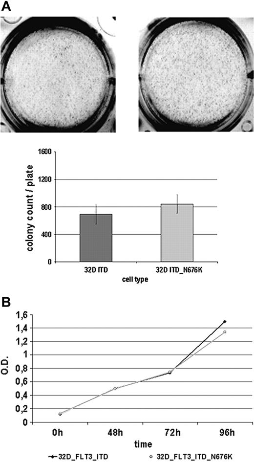 Figure 6. 32D FLT3-ITD and 32D FLT3-ITD-N676K cells show a similar biologic phenotype. (A) Analysis of colony formation. 32D cells expressing FLT3-ITD and FLT3-ITD-N676K were seeded in methylcellulose medium and incubated for 7 days at 37°C. Thereafter, numbers of colonies were counted and plotted. (B) Proliferation was measured at various time points from 0 to 96 hours using an MTS-based assay.