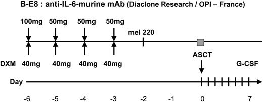 Figure 2. Conditioning regimen in arm B.