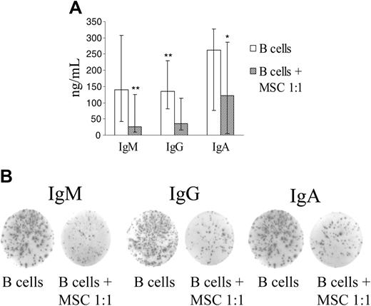 Figure 3. hMSCs inhibit immunoglobulin production. Purified B cells were incubated for 7 days without or with hMSC at a 1:1 ratio in the presence of CpG, rCD40L, anti-immunoglobulin antibodies, IL-2, IL-4, and IL-10. B-cell differentiation was evaluated using 2 assays, namely, quantitation of IgM, IgG, and IgA in culture supernatants by ELISA and enumeration of immunoglobulin-secreting cells by ELISPOT. (A) Median immunoglobulin concentrations (ng/mL), maximum and minimum values from 9 experiments performed by ELISA are shown. **P = .003 for IgM and .001 for IgG; *P = .018 for IgA. (B) One representative experiment of the 3 carried out by ELISPOT is shown. Spots indicate immunoglobulin production by individual cells.