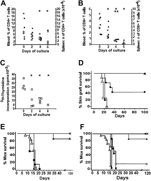 Figure 2. In vivo development and functions of murine T cells after various period of culture. (A, B) T-cell development in CD3-KO mice after injection of 107 fresh (day 0) or cultured mT cells (days 2-6). Each point represents percentages (○) and numbers (•) of CD4 (A) and CD8 (B) T cells in the blood and spleen from individual mice (n = 4 per group) 3.5 and 5 months after adoptive transfer, respectively. Of the 4 mice injected with day 6 cultured cells, 3 died 4 months after transfer. *Indicates blood and **spleen: significant values as compared to those of day 0 (P < .05 Fisher PLSD test). (C) Allogeneic MLR of mT cells from reconstituted CD3-KO mice: the allogeneic proliferative response of splenocytes from CD3-KO mice against BALB/c-irradiated splenocytes was measured 5 months after injection of cultured T cells. Cell proliferation was determined by 3H-Tdr incorporation after 4 days of coculture. □ indicates an individual mouse. *Significant values as compared to those of day 0 (P < .05 Fisher PLSD test). (D) 107 fresh day 0 (▵, n = 8), day 2 (▪, n = 5), day 4 (•, n = 7), or day 6 (▴, n = 6) cultured mT cells were injected into B6 nude mice that were grafted with allogeneic skin tail fragments from BALB/c mice 2 weeks later. Skin graft survival was monitored over time. Results are presented as Kaplan-Meier skin survival graph. (E-F) Ability of cultured donor mT cells to induce GVHD after injection into 6-Gy-irradiated B6D2F1: noninjected mice (X, n = 11), mice receiving 107 fresh donor T cells (day 0, ▵, n = 17) were used as controls. Results are presented as Kaplan-Meier survival graph after T-cell injection. (E) Effect of the length of T-cell culture: 107 cells were injected after day 2 (▪,n = 8), day 4 (•, n = 4), or day 6 (▴, n = 13) of culture. ▵ indicates day 0 (noncultured cells). (F) Effect of injecting increased amounts of 6-day cultured T cells: 107 (▴, n = 13), 2 × 107 (•, n = 4), 2.5 to 3 × 107 (○, n = 8), 4 × 107 (▪, n = 7), and 8 × 107 (▾, n = 4). ▵ indicates day 0 (noncultured cells).