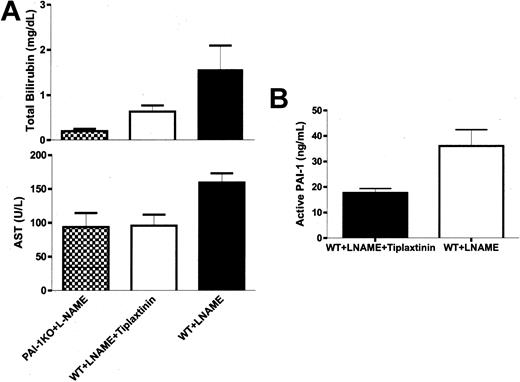 Figure 2. AST and bilirubin levels. (A) Total serum bilirubin and AST levels are elevated in WT mice receiving L-NAME but not in PAI-1-/- mice or in WT mice receiving tiplaxtinin (PAI-039). (B) Tiplaxtinin (PAI-039) reduced plasma PAI-1 activity in WT mice receiving L-NAME.