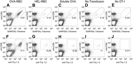 Figure 2. Expansion of OT-I T cells in response to transfusion of OVA-RBCs. OT-I splenocytes (20 × 106) were adoptively transferred into B6.Thy1.1 mice. One day later, mice underwent transfusion with 100 μL OVA-RBCs, 100 μL HEL-RBCs, or soluble OVA. One microgram soluble OVA was used because this was the amount of OVA contained on 100 μL OVA-RBCs (see Figure 1). To control for any changes in OVA immunoreactivity as a result of the crosslinker, the soluble OVA used was LC-SPDP-modified OVA. There were 5 animals in each experimental group; 2 animals in the control group received no transfusions. Three days after transfusion, splenocytes were isolated from recipient animals, and OT-I T cells were visualized by staining with anti-CD8 and tetramer (A-E) or anti-CD8 and anti-Thy 1.2 (F-J). The legitimacy of the gates used to identify OT-I cells was confirmed by staining splenocytes from mice that had received no OT-I T cells (E,J). Total numbers of OT-I T cells were calculated by counting the number of splenocytes recovered from each animal and multiplying by the resulting percentages of CD8+ tetramer+ cells. Representative flow cytometry plots from individual animals are presented (A-J). Five animals were included in each group that underwent transfusion, and the numerical averages for each group are presented in Table 1. Standard deviations were calculated by combining the results of all animals in a given group using total numbers of cells. Probabilities were determined as 2-tailed values generated using an unpaired t test. This experiment was performed 4 times with similar results.
