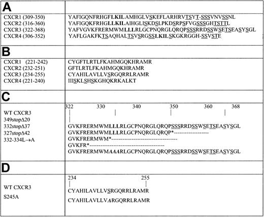 Figure 1. Truncations and site-directed mutagenesis in the carboxyl terminus and 3i loop of CXCR3. (A) Carboxyl terminus alignment of CXCR1, CXCR2, CXCR3, and CXCR4. (B) 3i loop subdomain of CXCR1, CXCR2, CXCR3, and CXCR4. (C) CXCR3 carboxyl-terminus. The carboxyl-terminal truncations of CXCR3 were generated by introducing stop codons (*) at Ser349, Leu332, or Glu327. 332-334L→A site-directed mutagenesis was generated as described in “Materials and methods.” (D) CXCR3 3i loop subdomain. Site-directed mutagenesis at position 245, replacing serine with alanine, was generated as described in “Materials and methods.” Serine and threonine residues that serve as potential phosphorylation sites are underlined, and the leucine motifs are in bold. The site-directed mutagenesis is in bold italics. Positions are indicated according to Feature Aligner of ExPASy, Swiss-Prot (Swiss Institute of Bioinformatics, Basel, Switzerland).