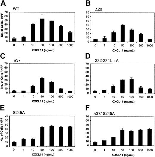 Figure 3. Dose-response of migration of HEK 293 cells expressing WT or mutated CXCR3 receptors toward CXCL11. Migration was performed as described in “Materials and methods” in response to various concentrations of CXCL11 (ng/mL). (A) WT CXCR3. (B) 349stopΔ20 C-tail truncated. (C) 332stopΔ37 C-tail truncated. (D) 332-334L→A C-tail mutations. (E) S245 to A 3i loop mutation. (F) Double-mutant of 332stopΔ37 C-tail truncated and S245 to A 3i loop mutation. A representative experiment of at least 3 performed is presented. Each value represents the mean ± SD of triplicates of the representative experiment. ANOVA was used to determine the levels of difference between CXCL11 concentrations of 50, 100, 500, and 1000 ng/mL within each CXCR3 type. The differences in number of cells per high-power field (HPF) were statistically significant for all CXCR3 types except for D37/S245A. Therefore, multiple comparisons of number of cells per HPF between these concentrations in each receptor type were done by the Newman-Keuls test. For WT CXCR3, number of cells per HPF at 50 and 100 ng/mL were not statistically different. For the mutant 332-334L→A, number of cells/HPF at 50 versus 100 ng/mL and at 500 versus 1000 ng/mL were not statistically different, but these pairs of concentrations were statistically different from each other. For the mutant S245A, number of cells per HPF at 50 versus 100 ng/mL and 500 versus 100 ng/mL were statistically different. ANOVA also showed that the differences in number of cells per HPF were statistically significant for all CXCR3 types at 50 ng/mL CXCL11. Multiple comparisons of each mutant with WT CXCR3 at this concentration were performed by the Dunnett test. Except for S245A, all other mutants were different and statistically significant from the WT.
