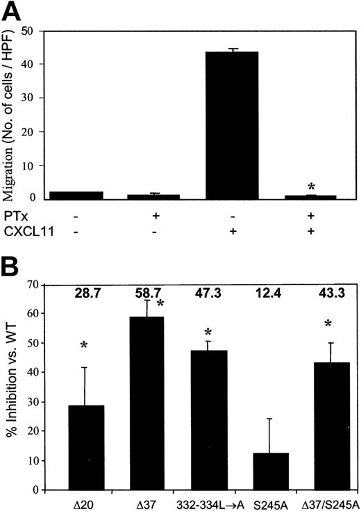 Figure 4. Migration of HEK 293 cells in responses to CXCL11. (A) Migration of HEK 293 cells expressing WT CXCR3 receptors toward CXCL11 is PTx dependent. HEK 293-WT CXCR3 cells were preincubated with 100 ng/mL PTx for 2 hours at 37°C and washed prior to assay. Migration was performed as described in “Materials and methods” in response to 50 ng/mL CXCL11. A representative experiment of 3 performed is presented. Each value represents the mean SD of triplicates of the representative experiment. Using ANOVA and the Newman-Keuls test, the difference was significant for PTx/CXCL11 treatment (*P < .05). (B) Migration of HEK 293-CXCR3 was dependent mainly upon the receptor C-tail. Migration of HEK 293 cells expressing the various CXCR3 mutants was performed as described in “Materials and methods” in response to 50 ng/mL CXCL11. Percentage inhibition of migration by each mutant of CXCR3 was calculated as number of migrating cells expressing mutated CXCR3 per HPF versus the number of migrating cells expressing WT CXCR3 per HPF. Each value represents the mean ± SD of inhibition calculated of 3 independent experiments. Using ANOVA, the difference of percentage inhibition between the CXCR3 mutants was significant (*P < .05). Multiple comparisons between the mutants by the Newman-Keuls test showed that only S245A and D37 were different from each other.