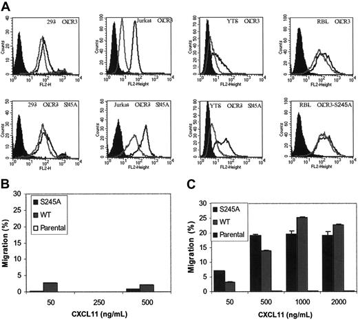 Figure 5. Expression and function of WT CXCR3 and S245A-mutated CXCR3 in Jurkat, YTS, and RBL hematopoietic cells. (A) Cell-surface expression of WT or the S245A mutated CXCR3 in HEK 293, Jurkat, YTS, and RBL cells (black line). Immunostaining with immunoglobulin G1 (IgG1) isotype control antibodies is shown in filled histograms. Cell-surface expression of CXCR3 or the S245A-mutated CXCR3 in cells incubated with 1 mg/mL CXCL11 for 1 hour is also shown (gray line). (B-C) The migration of parental-, CXCR3-, and CXCR3-S245A-expressing YTS (B) and Jurkat cells (C) in response to different concentrations of CXCL11 is shown. Each value represents the mean plus or minus SD of 3 independent experiments.
