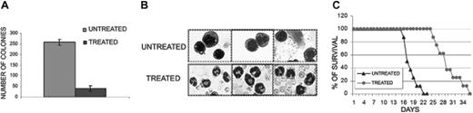 Figure 8. Conditional activation of CEBPB in vivo prolongs survival of leukemic mice. (A) Methylcellulose colonies from peripheral-blood cells (5 × 102) of untreated and 4-HT–treated C3H/Hej mice injected with 32D-BCR/ABL MigRI GFP ΔuORF C/EBPβ-ERTAM cells; values indicate mean (plus SD) colony number from cells of 3 different mice for each group. (B) May-Grünwald-Giemsa staining of white blood cells from untreated (top panel) and 4-HT–treated (bottom panel) C3H/Hej mice injected with 32D-BCR/ABL MigRI ΔuORF GFP C/EBPβ-ERTAM cells. (C) Survival of untreated (▴) and 4-HT–treated (•) C3H/Hej mice injected with 32D-BCR/ABL MigRI GFP ΔuORF C/EBPβ-ERTAM cells. The y-axis represents survival percentage of untreated and treated mice; x-axis values indicate time of survival after injection (days).