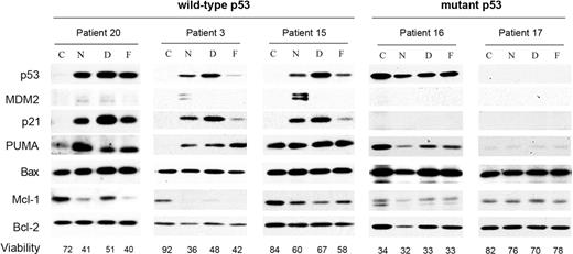 Figure 3. MDM2 antagonists induce p53 stabilization and accumulation of p53 target proteins in B-CLL cells. Cells from B-CLL patients were untreated (C) or treated with 5 μM nutlin-3a (N), 0.8 μM doxorubicin (D), or 3 μM fludarabine (F) for 48 hours. Cells were lysed and analyzed by Western blot as described in “Patients, materials, and methods.” Total levels of p53, MDM2, p21, PUMA, Bax, Mcl-1, and Bcl-2 were analyzed. Viability was measured by analysis of phosphatidylserine exposure and PI uptake as described in “Patients, materials, and methods,” and has been expressed here as the percentage of nonapoptotic cells.