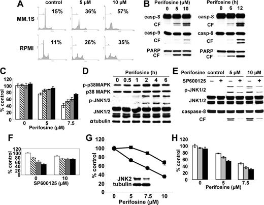 Figure 2. Perifosine induces JNK/caspase-dependent MM cell apoptosis. (A) MM.1S and RPMI8226 cells were cultured with perifosine (5 and 10 μM) for 24 hours. Cells were then subjected to cell-cycle profiling by PI staining and flow cytometry. Percentage indicates sub-G1 phase cells. (B) MM.1S cells were cultured with perifosine (5 and 10 μM) for 8 hours. (C) MM.1S cells were also cultured with perifosine (10 μM) for 6 and 12 hours. Cells were then lysed and subjected to Western blotting using caspase-8, caspase-9, and PARP Abs. (C) MM.1S cells were cultured for 24 hours with perifosine (5 and 7.5 μM) in the presence of control media (□), and with 25 μM of Z-IETD-FMK (▧), Z-LEHD-FMK (▧), or Z-VAD-FMK (▪). (D) MM.1S cells were cultured with perifosine (10 μM) for the indicated periods. Cells were then lysed and subjected to Western blotting using anti–p-p38 MAPK, anti-p38 MAPK, anti–p-JNK, anti-JNK, and α-tubulin Abs. (E) MM.1S cells were cultured with perifosine (5 μM and 10 μM) for 8 hours, in the presence or absence of SP600125 (10 μM). Cells were then lysed and subjected to Western blotting using anti–p-JNK, anti-JNK, and caspase-8 Abs. (F) MM.1S cells were cultured for 24 hours with control media (□), or with 2.5 μM (▦), 5 μM (▦), and 7.5 μM(▪) perifosine, in the presence or absence of SP600126 (10 μM). (G) MM.1S cells were transiently transfected with control (•) or JNK2 siRNA expression plasmid (▪). Whole-cell lysates were subjected to Western blotting using anti-JNK2 and α-tubulin Abs. (H) MM.1S cells were cultured for 24 hours with control media (□) or perifosine (5 and 7.5 μM) in the presence or absence of control media (□), 200 nM (▦), or 400 nM (▪) SCIO469. Cytotoxicity was assessed by MTT assay; data represent mean (± SD) of quadruplicate cultures.