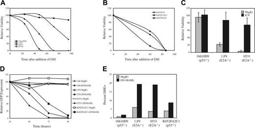 Figure 2. Inhibition of Notch1 signaling inhibits survival of E2A–/– lymphomas. (A) E2A–/– lymphoma lines 0531, 1.F9, and 0714 and the Notch1-deficient p53–/– lymphoma 16610D9 were treated with GSI or vehicle (DMSO), and the number of viable cells was determined every 24 hours. Relative viability is the number of viable cells (GSI)/number of viable cells (DMSO) × 100. (B) Relative viability of Notch1-expressing p53–/– lymphoma lines treated with GSI or DMSO. (C) Lymphomas were treated with GSI or vehicle (DMSO) starting 24 hours after infection with MigR1 (▦) or MigR1-ICN (▪) virus. Number of viable cells was determined 48 hours later. Infection efficiency was greater than 90% for all populations. (D) 16610D9 (♦), 0531 (•), 1.F9 (▴), and K052FA2C1 (▪) lines were infected with MigR1 (open symbols) or MigR1-DNMAML (filled symbols), and the percentage of cells expressing GFP was determined every 24 hours by FACS. Relative GFP is the percentage GFP+ divided by the percentage GFP+ at 24 hours after infection. Infection efficiency for each line was 60% to 80%. (E) MigR1-infected cells (▦) and MigR1-DN MAML–infected cells (▪) were incubated with DHE for 30 minutes starting 48 hours after infection. The percentage of GFP+ cells demonstrating increased fluorescence staining with DHE is shown.