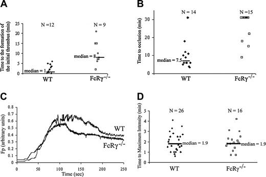 Figure 1. Thrombus formation in FcRγ-null mice and wild-type mice in the FeCl3 and laser-induced thrombosis models. Platelets were labeled by infusion of Alexa 660–conjugated rat anti–mouse CD41 antibody (250 ng/g body weight). (A-B) Injuries were induced with 10% FeCl3 for 5 minutes in wild-type and FcRγ-null mice. (A) The time to the formation of an initial thrombus (WT, n = 12; FcRγ–/–, n = 9). (B) The time to vessel occlusion (WT mice, n = 14; FcRγ–/–, n = 15) are reported and the median times calculated. (C-D) Laser-induced injuries in cremaster arterioles of wild-type and FcRγ-null mice. (C) Median integrated platelet fluorescence intensity for multiple thrombi of each genotype: WT (26 thrombi in 3 mice); FcRγ–/– (16 thrombi in 3 mice). Fluorescence of platelets in arbitrary units is presented as a function of time. (D) For each thrombus formed, the time to the maximum platelet accumulation into the growing thrombus is reported and the calculated median time indicated.