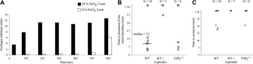 Figure 3. Collagen exposure after injury at varying FeCl3 concentrations and effect of lepirudin on thrombus formation in wild-type mice. (A) Injuries in wild-type mice (WT) were induced by application of 10% or 8% FeCl3 for 5 or 2 minutes, respectively. Collagen exposed to the blood circulation was labeled by injection of a rabbit anti–mouse collagen type I antibody (1 μg/g body weight) plus Alexa 488–conjugated goat antirabbit antibody (1μg/g body weight). Integrated fluorescence intensity of collagen at several time points after injury is indicated for individual thrombi under the 2 conditions (n = 5 for each condition). (B) Local administration of an 8% solution of FeCl3 for 2 minutes to the adventitial surface of the mesentery was used to induce vascular injury in wild-type mice. Mice were treated with 5 μg/g body weight of lepirudin prior to vessel injury where indicated. For each thrombus the time to the formation of an initial thrombus is reported and the median time indicated (n = 10). (C) For each thrombus in panel B the time to vessel occlusion is reported. Most vessels did not occlude during the 30 minutes of the experiment.