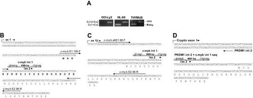 Figure 2. Alterations of c-myb transcripts in OCI-Ly3. (A) Absence of c-myb transcripts initiated from the conventional promoter. PCR amplification of cDNA prepared from OCI-Ly3, HL-60, and thymus total RNA was performed with specific primers (Table 1) to detect transcripts initiated from the conventional promoter (Ex 1 + Ex 2) or the alternate promoter (Ex 1β+ Ex 2), respectively. PCR products were analyzed by agarose gel electrophoresis. While HL-60 and normal thymus contain both types of c-myb transcripts, OCI-Ly3 lacks transcripts initiated from the conventional promoter (note absence of 126-bp band). (B-D) Partial sequence of c-myb transcripts with different exon 1 sequences (ex 1, panel B; ex 1β, panel C; cryptic exon 1, panel D). The exon 1 sequence depicted in panel B is not expressed in OCI-Ly3, but that shown in panel D is OCI-Ly3 specific. The size of the first intron in each case is indicated, and the consensus splice sites are shown. The positions of the primers used in panel A also are marked. Cryptic exon 1 (panel D) is derived from the nontranscribed strand of PRDM1 intron 2 (int 2). The “intron 1” sequence for this transcript is contributed by both PRDM1 intron 2 and c-myb intron 1 sequences (Figure 1A). The 20 amino acids truncated in c-MYB in panel C and panel D are marked in bold in panel B.