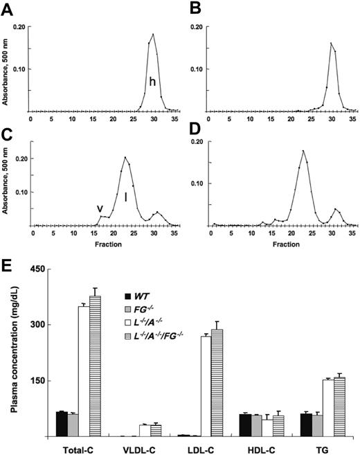 Figure 1. Cholesterol content of various lipoprotein fractions. FPLC analysis of lipid profiles of plasma from (A) WT (n = 17), (B) FG–/– (n = 6), (C) L–/–/A–/– (n = 91), and (D) L–/–/A–/–/FG–/– (n = 15) mice. h indicates HDL; l, LDL; and v, VLDL. (E) Plasma concentrations of total-C, VLDL-C, LDL-C, and HDL-C, along with triglyceride (TG) levels in WT ([▪), FG–/– (▦), L–/–/A–/– (□), and L–/–/A–/–/FG–/– (▤) mice.