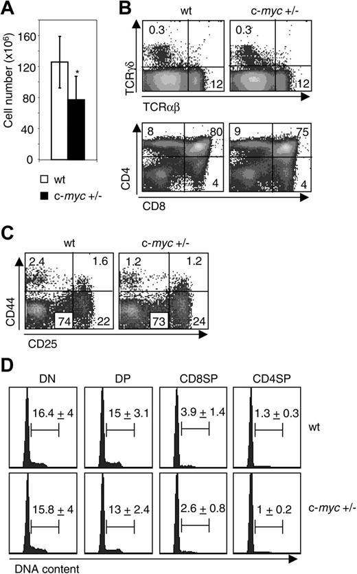 Figure 1. Normal thymocyte development in c-myc+/– mice. (A) Thymus cellularity (mean ± SD; n = 5) is shown for wt and c-myc+/– mice. *P < .05. (B) Thymocytes from wt and c-myc+/– littermates were analyzed for expression of TCRαβ, TCRγδ, CD4, and CD8. The numbers shown represent the percentage of cells within each quadrant. (C) Subpopulations of DN thymocytes in wt and c-myc+/– littermates were analyzed for expression of CD44 and CD25 gated on lin– cells (defined as negative for markers expressed by mature cells such as TCRαβ, TCRγδ, CD3, CD4, CD8, B220, NK1.1, CD11b, and Gr1). (D) Cell-cycle analysis of DN, DP, CD8SP, and CD4SP thymocytes from wt and c-myc+/– littermates was performed by Hoechst staining and FACS analysis. The numbers shown represent the mean percentage ± SD of cells in S-G2-M phases. The results shown are representative of 2 experiments and 5 mice per group (4 months old) were analyzed in each experiment.