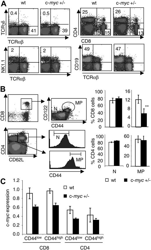 Figure 2. Selective decrease in the proportion of CD44high CD8 T cells, but not other lymphoid populations, in c-myc+/– mice. (A) Splenocytes from wt and c-myc+/– littermates were analyzed for expression of TCRαβ, TCRγδ, CD19, NK1.1, CD4, and CD8. The numbers shown represent the percentage of cells within each quadrant. The results shown are representative of 3 experiments and 5 mice per group were analyzed in each experiment. (B) Naive (N) and memory-phenotype (MP) CD8 and CD4 T cells were defined by expression of CD8, CD62L, CD122, and CD44 (top panels) or CD4, CD62L, and CD44 (bottom panels). Bar graphs indicate the mean percentages ± SD of N and MP cells within CD8 or CD4 populations from wt and c-myc+/– littermates. The results shown are representative of more than 5 experiments. **P < .01. (C) c-myc mRNA levels were determined by real-time PCR in sorted naive CD44low and memory-phenotype CD44high CD8 and CD4 T cells from wt and c-myc+/– littermates. Values for c-myc were normalized to TBP values and presented in arbitrary units. Mean ± SD of triplicate samples is indicated.
