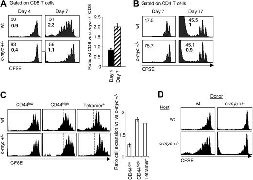 Figure 4. Impaired homeostatic proliferation of c-myc+/– CD8 T cells after adoptive transfer into sublethally irradiated recipients. Total splenocytes from wt (Thy1.1+) and c-myc+/– (Thy1.2+) littermates were CFSE labeled and adoptively cotransferred into sublethally irradiated wt (A-B) or c-myc+/– (D) recipients (Thy1.1+Thy1.2+). Spleen and LN cells were removed after 4, 7, and 17 days, pooled, and stained for CD4, CD8, Thy1.1, and Thy1.2. Histograms show representative CFSE profiles from donor CD8 (A,D) and CD4 (B) T-cell populations gated on the appropriate Thy1 marker. Upper numbers in histograms indicate the percentage of cells in the undivided peak; lower bold numbers indicate population doublings. Numbers were calculated according to Wells and colleagues.43 Bar graph represents the ratio of the percentage of wt versus c-myc+/– CD8 T cells. The results shown are representative of 2 experiments, and 1 to 3 mice per group were analyzed at each time point. (C) CD44low and CD44high CD8 T cells were sorted from wt (Thy1.2+) and c-myc+/– (Thy1.1+Thy1.2+) mice, CFSE labeled, and adoptively cotransferred into sublethally irradiated B6.PL (Thy1.1+) recipients. Splenocytes from wt and c-myc+/– littermates infected with LCMV 50 days before were CFSE labeled and adoptively transferred into sublethally irradiated wt recipients. Histograms show representative CFSE profiles from donor CD44low, CD44high, and tetramer+ CD8 T-cell populations gated on the appropriate Thy1 marker 6 or 7 days after transfer. Bar graph represents the ratio of the cell expansion of wt versus c-myc+/– cells.