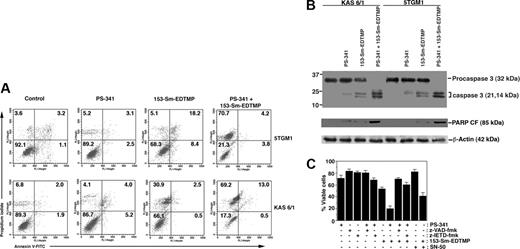 Figure 2. PS-341 sensitizes myeloma cells to 153-Sm-EDTMP–mediated apoptosis. (A) Flow cytometric analysis of myeloma cell lines treated with PS-341 and/or 153-Sm-EDTMP for 24 hours. (B) Western blotting was performed on lysates from 5TGM1 and KAS 6/1 cells untreated or treated with PS-341 and/or 153-Sm-EDTMP. Blots were probed with anti–procaspase 3, anti-PARP (p85), or antiactin antibodies. (C) 5TGM1 cells were preincubated with the broad-spectrum caspase inhibitors z-VAD-fmk (100 μM), the caspase-8 inhibitor z-IETD-fmk (50 μM), or NF-κB inhibitory peptide SN-50 (20 μM) for 2 hours before the addition of PS-341 (10 nM) and/or 153-Sm-EDTMP (74 MBq/mL) for 12 hours. Cells were washed, and MTT assay was performed at 24 hours after treatment. Results are mean ± SD of 3 independent experiments.