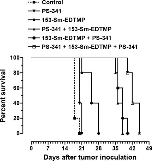 Figure 3. Combined PS-341 and 153-Sm-EDTMP therapy prolongs survival in C57BL/KaLwRij mice. 5TGM1 cells (5 × 106) were inoculated via the tail vein on day 0. Therapy was initiated intraperitoneally on day 14, and mice were followed for disease progression. Kaplan-Meier survival plot of mice (n = 5 per group) in the pilot study is shown.