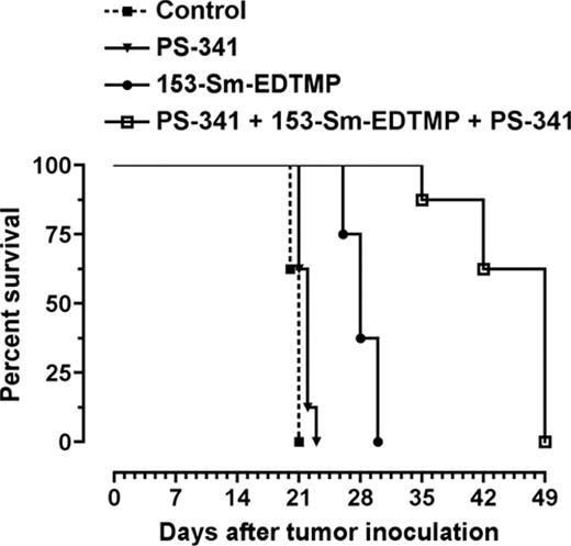Figure 6. Coadministration of PS-341 and 153-Sm-EDTMP prolongs the median survival time of 5TGM1-bearing mice. Kaplan-Meier survival plot of mice (n = 8 per group) with established murine multiple myeloma after intraperitoneal administration of PBS (▪; day 14 and 16), PS-341 (▾; day 14 and 16), 153-Sm-EDTMP (•; day 15), or PS-341/153-Sm-EDTMP/PS-341 (□; day 14/15/16). Data end for each group once mice succumb to disease and meet criteria for killing.