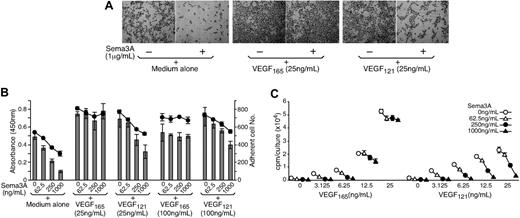 Figure 1. Inhibition of endothelial-cell adhesion, survival, and proliferation by Sema3A and reversal by VEGF165. (A) Representative images depicting Sema3A inhibition of endothelial-cell attachment to tissue culture wells. HUVECs were incubated (16 hours) in medium (MEDIUM199, 1% FBS) only, with Sema3A, VEGF165, VEGF121, with Sema3A plus VEGF165 or VEGF121. Cells were visualized under an Olympus IX51 phase-contrast microscope equipped with a 4 ×/0.13 PhL objective lens and a 10 × eyepiece (Olympus Optical, Melville, NY), and were photographed with a Retiga 1300 digital camera (Qimaging, Burnaby, BC, Canada). Images obtained via QCapture software (Qimaging) were imported into Adobe Photoshop 6.0 software (Adobe Systems, San Jose, CA) for processing. Original magnification, × 40. (B) Correlation between endothelial-cell attachment and viability. Endothelial cells were incubated (16 hours) in medium alone, with Sema3A, VEGF165, VEGF121, or with Sema3A plus VEGF165 or VEGF121. Cell viability was measured by absorbance at 450 nm after addition of Cell Counting Kit-8. The adherent cells were counted by NIH image analysis after removal of nonadherent cells. The results reflect the mean (± SD) of triplicate cultures (representative experiment of 3 performed). (C) Sema3A inhibits endothelial-cell proliferation. Cells were cultured for 3 days in medium alone, Sema3A, VEGF165, VEGF121, or with Sema3A plus VEGF165 or VEGF121. 3H thymidine uptake was measured during the final 20 hours of incubation. The results reflect the mean cpm of triplicate cultures (representative experiment of 3 performed).