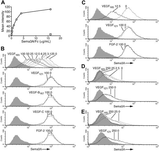 Figure 4. VEGF165 specifically inhibits Sema3A binding to endothelial, stromal, and neuronal cells. (A) Concentration dependency of Sema3A/Fc (○) binding to endothelial cells. Control B7-1/Fc (16 μg/mL, □). (B) Endothelial cells were incubated (4°C, 1 hour) with Sema3A/Fc (2 μg/mL) plus VEGF165 (0-100 ng/mL), VEGF121 (100 ng/mL), VEGF-B167 (100 ng/mL), VEGF-C (100 ng/mL), or FGF-2 (100 ng/mL). (C) Endothelial cells were preincubated (25°C, 1 hour) with or without VEGF165 (12.5 ng/mL), VEGF121 (100 ng/mL), or FGF-2 (100 ng/mL). Sema3A/Fc (2 μg/mL) was added and cells were further incubated at 4°C for 60 minutes. (D) Human stromal HS-5 and (E) rat pheochromocytoma PC12 cells were preincubated (25°C, 1 hour) with VEGF165 (0-250 ng/mL) or VEGF121 (250 ng/mL). Sema3A/Fc (2 μg/mL) was added and cells were further incubated at 4°C for 60 minutes. Sema3A/Fc binding was detected by anti-Fc mAb. Shaded graphs reflect control staining.