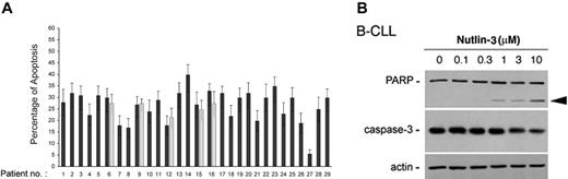 Figure 5. Nutlin-3 induces cytotoxicity toward B-CLL cells via apoptosis. After exposure to nutlin-3 for 24 hours, B-CLL samples were analyzed by flow cytometry, after staining with annexin V–FITC/PI (A) and by Western blot on cell lysates (B). (A) Induction of apoptosis in nutlin-3–treated B-CLL samples, calculated with respect to control cultures (vehicle alone). For selected samples (nos. 6, 9, 12, 15, 16), aliquots of frozen B-CLL cells were thawed and retested for response to nutlin-3 (▦). Results are expressed as mean plus or minus SD of assays each performed in triplicate. (B) Western blot analysis for PARP and procaspase-3 after 24 hours of treatment with increasing doses of nutlin-3 of representative B-CLL cultures. The proform of PARP (115 kDa) and the cleaved form (80 kDa; arrowhead) are shown. The dose-dependent PARP cleavage in B-CLL cultures is concurrent with the decrease in the procaspase-3. Error bars indicate SD.