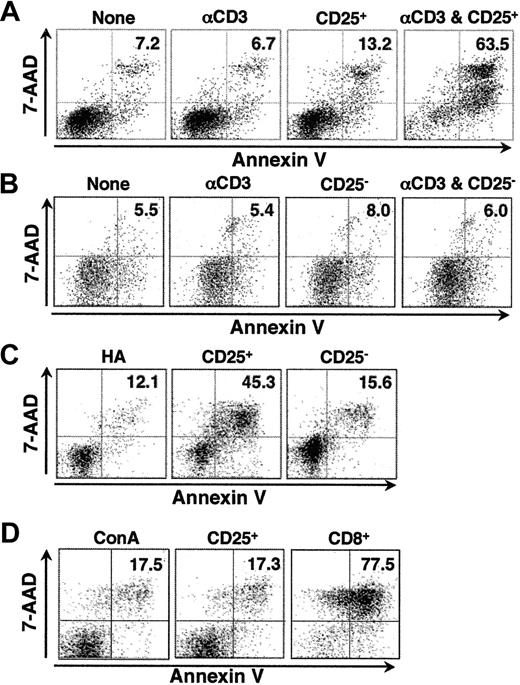 Figure 2. The induction of B-cell apoptosis is specific to activated CD4+CD25+ T cells. (A) Activated CD4+CD25+ T cells cause apoptosis of B cells on restimulation. CD4+CD25+ T cells preactivated for 6 days were cultured with B-cell blasts (preactivated with LPS for 20 hours) at a 5:1 ratio for 8 hours in the presence or absence of anti-CD3 (2 μg/mL). A low amount of LPS (0.5 μg/mL) was also added to the coculture. Annexin V expression and 7-AAD incorporation were evaluated on B220+ cells. (B) Activated CD4+CD25– T cells do not induce B-cell death. CD4+CD25– T cells were cultured with B-cell blasts as in panel A, and the cells were stained for B220, annexin V, and 7-AAD. (C) Activated CD4+CD25+T cells induce B-cell death in response to restimulation with HA peptide. CD4+CD25+ T cells from HA-TCR transgenic mice were cultured with B-cell blasts as in panel A except that HA peptide (16 μM) was used in place of anti-CD3. (D) Activated CD4+CD25+ T cells do not induce T-cell apoptosis. CD4+CD25– T cells were stimulated with irradiated T-depleted splenocytes and conA (3 μg/mL) for 20 hours, labeled with CFSE, and cocultured with activated CD4+CD25+ T cells or with CD8+ T cells that had been activated with plate-bound anti-CD3 and IL-2 for 3 days and expanded in IL-2 media for 3 days before use. ConA (3 μg/mL) was added to the cocultures to retarget the CD4+CD25+ T cells or the activated CD8+ T cells to the CD4+ blast target cells during the 8-hour coculture. Results are representative of at least 3 experiments.