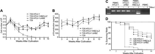 Figure 5. HTLV-1 T-lymphocyte proliferation and immortalization assays. PBMC (2 × 106) donor cells were cultured with (106) irradiated producer cells as indicated in 24-well plates. (A) Representative growth curve is presented showing cell viability at weekly intervals. The mean and standard deviation of each time point was determined from 3 random independent samples. (B) HTLV-1 gene expression was quantified by detection of Gag protein in the culture supernatant using ELISA. (C) The HTLV-1 genome fragment containing the HBZ coding region was amplified by PCR from DNA of immortalized PBMCs as indicated (HTLV-1HBZΔLZ DNA was cut by NheI). (D) Prestimulated PBMCs (104) were cocultured with 2000 irradiated 729 stable producer cells in 96-well plates. The Kaplan-Meier plot shows the percentages of proliferating wells as a function of time (weeks). Results indicated that the percentage of wells containing proliferating lymphocytes was similar between wtHTLV-1 and HBZ mutant viruses.