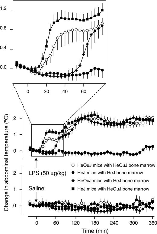 Figure 2. Fever responses of the chimeric mice. Abdominal temperature (mean ± SE) responses of the 4 indicated types of chimeric mice to LPS (50 μg/kg, intravenously) or saline (1 mL/kg, intravenously) are shown. At the time of the injection, the values of abdominal temperature of LPS- and saline-treated mice were, respectively, 35.7 ± 0.2°C (n = 7) and 35.9 ± 0.2°C (n = 6) for the HeOuJ mice with HeOuJ bone marrow, 36.0 ± 0.2°C (n = 7) and 36.2 ± 0.4°C (n = 7) for the HeJ mice with HeJ bone marrow, 35.9 ± 0.2°C (n = 9) and 35.9 ± 0.2°C (n = 7) for the HeOuJ mice with HeJ bone marrow, and 36.2 ± 0.3°C (n = 7) and 35.9 ± 0.2°C (n = 5) for the HeJ mice with HeOuJ bone marrow. These values did not differ statistically from each other.