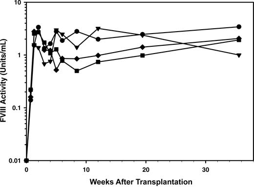 Figure 5. In vivo expression of BDD porcine fVIII under reduced-intensity transplantation conditioning. Plasma fVIII activity levels (symbols) were determined following transplantation of BDD porcine fVIII transgene–modified Sca-1+ cells into hemophilia A mice. Recipient mice were preconditioned with a sublethal dose of TBI (5.5 Gy) and received a transplant of 3 × 105 transduced Sca-1+ cells. Each line represents an individual mouse (n = 5). One mouse died 2 weeks after transplantation due to isoflurane overexposure during blood collection.