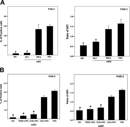 Figure 3. PR3 induces expression of PAR-2 on mDCs. (A) Immature DCs were incubated with PR3 or HLE and TNF-α for 48 hours. For PAR-2 staining, cells were incubated with FITC-conjugated mouse anti–human PAR-2 or IgG2a isotype control for 30 minutes at 4°C and then were analyzed by flow cytometry. The positive staining is expressed as mean percentage of positive cells and as a median fluorescence intensity (MFI) ratio described in “Patients, materials, and methods.” Values are the mean ± SEM (donors n = 16). (B) iDCs were stimulated with PR3 for 24 hours at 37°C. PR3 was pretreated with and without PMSF for 30 minutes at 37°C before use. Immature DCs were pretreated with and without cytochalasin B (CCB) for 30 minutes or CHX for 6 hours at 37°C. Then, the cells were stimulated with and without PR3 for 24 hours in the presence or absence of CCB or CHX. After the incubation, the cells were collected and the expression of PAR-2 on the cells was analyzed by flow cytometry. The positive staining is expressed as mean percentage of positive cells and as a median fluorescence intensity (MFI) ratio. *P < .01 compared with PR3 alone.