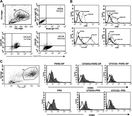 Figure 4. The maturation of DCs triggered by PR3 occurs through PAR-2. (A) Immature DCs were pretreated with SAM-11 at 10 μg/mL alone or with PR3 (10 μg/mL) for 24 hours. The cell surface expression of CD40 and CD83 was analyzed by flow cytometry. (B) DCs were stimulated with 100 μM PAR-2 agonist peptide (SLIKV-NH2, PAR-2AP) or a control peptide (100 μg/mL) for 48 hours and then were stained for CD80, CD83, CD86, and HLA-DR and analyzed by flow cytometry. The histograms show fluorescence intensity on gated cells. The thin lines represent staining with isotype-matched irrelevant mAb. (C) Effect of PLC inhibition on the expression of maturation marker on DCs. Immature DCs were treated with 400 nM U73122 or the control compound U73343 (mock inhibitor) 1 hour before exposure to PAR-2AP or PR3 for 24 hours. The expression of the DC maturation marker CD83 was analyzed by flow cytometry. Open curves indicate isotype Ab control; shaded areas, CD83. Tracings are representative of 3 distinct experiments.